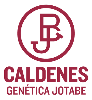 Logo Caldenes
